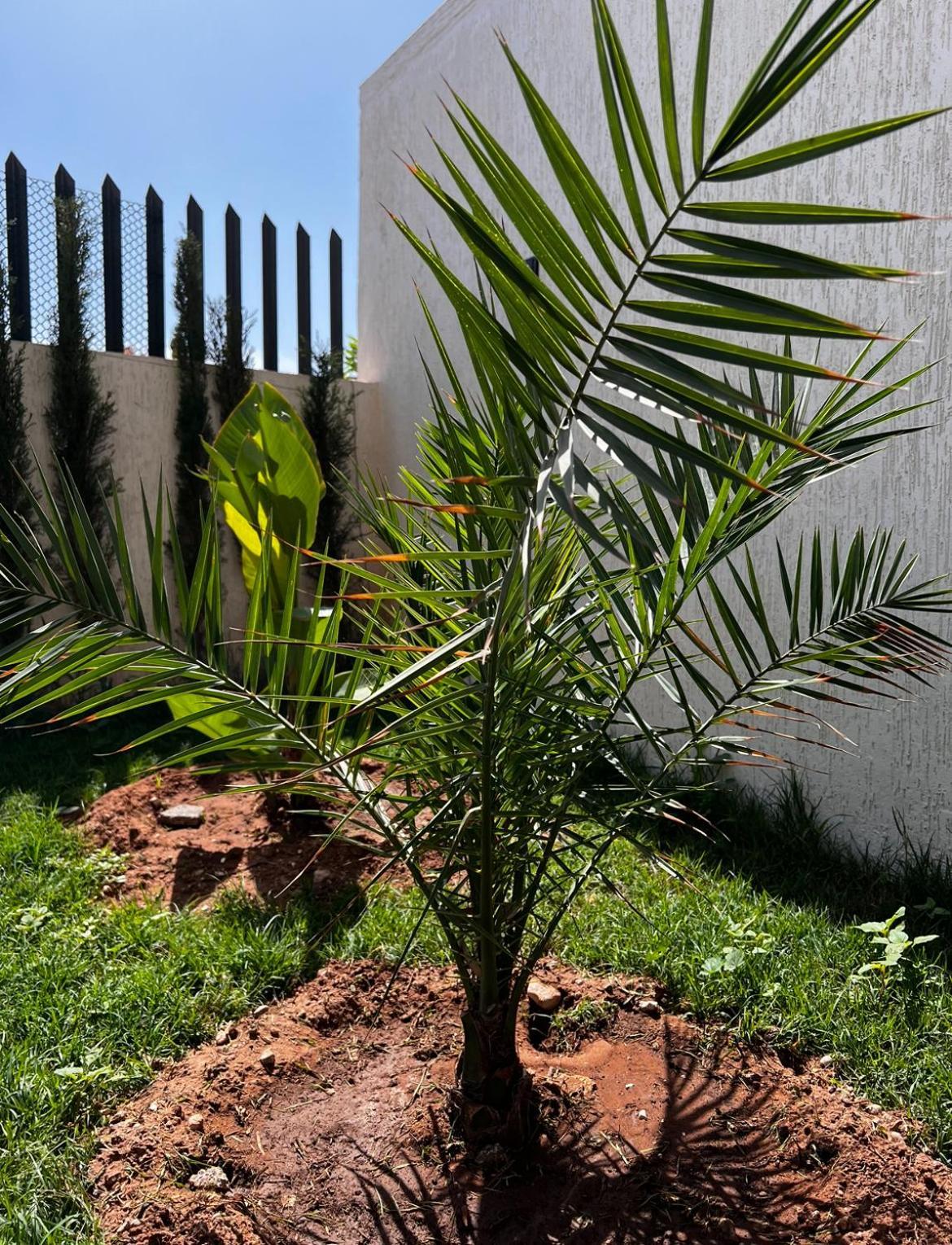Villa Anza Blue